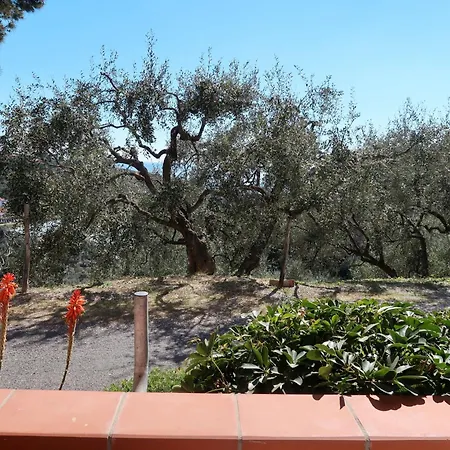 Zenzero E Cannella By Interhome * Diano San Pietro